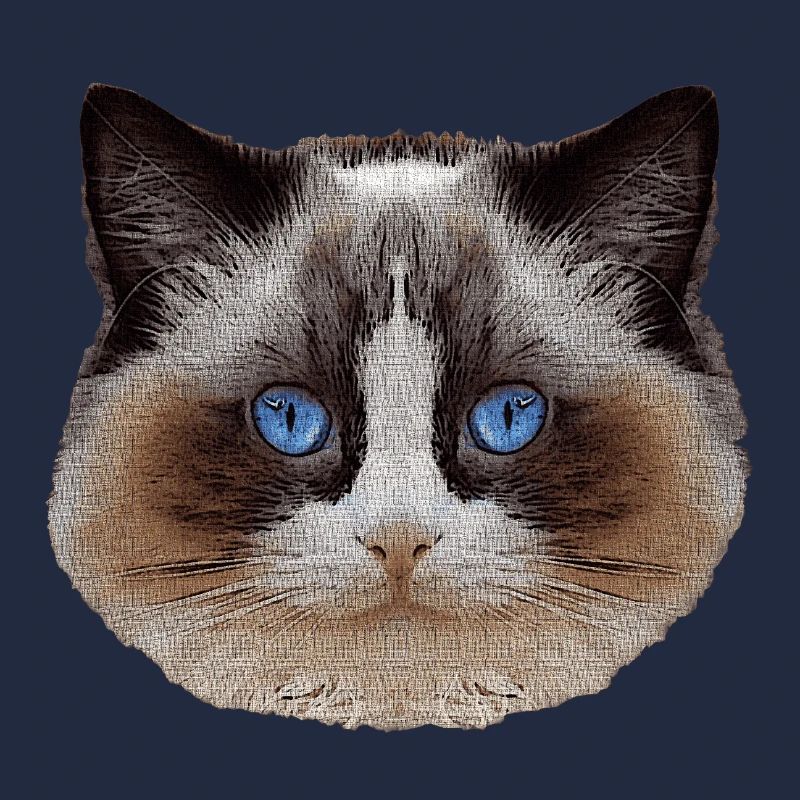 Ragdoll, samtpfote, Katzen design