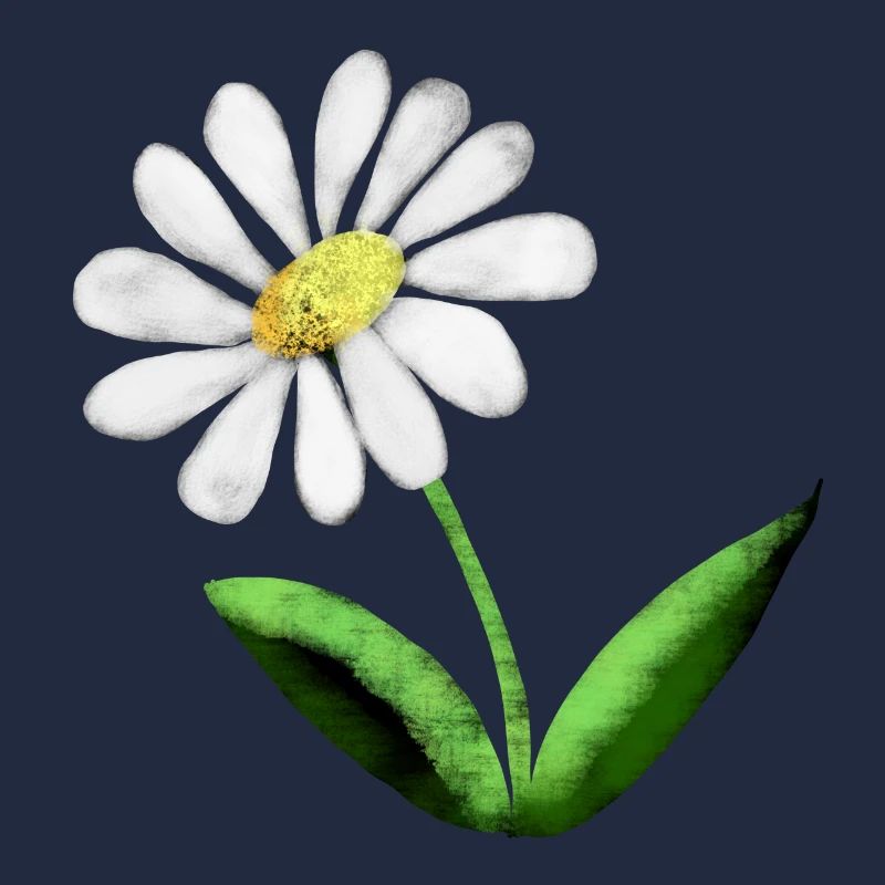 Stolze Marguerite