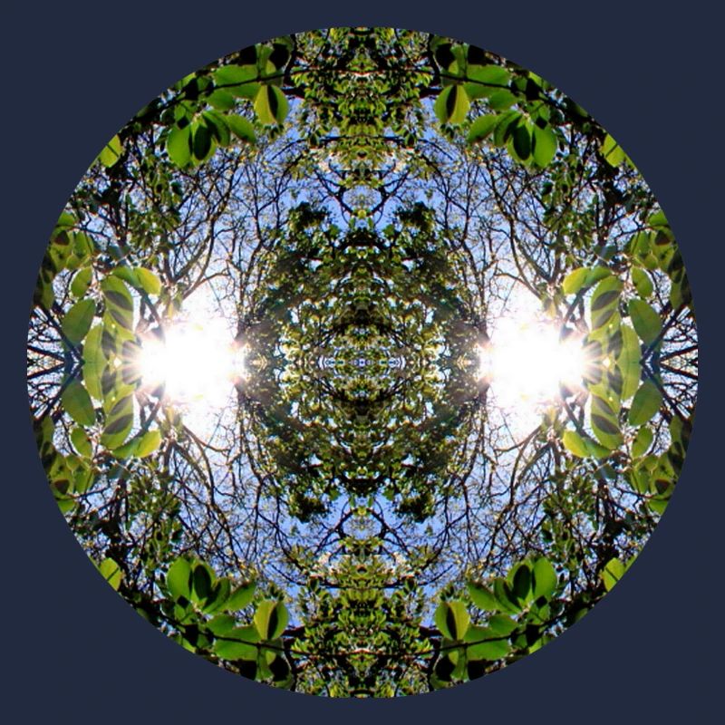 Nature Mandala Source à Nbg Erlenstegen