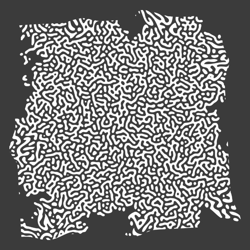 turing pattern white - worm