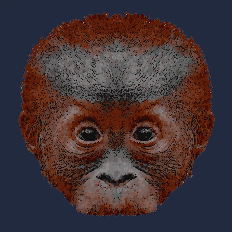 orangutan baby, affengesicht