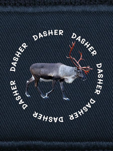 DASHER