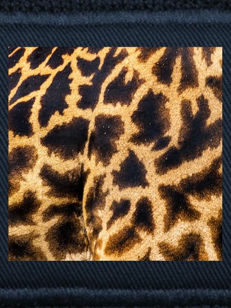 SAFARI