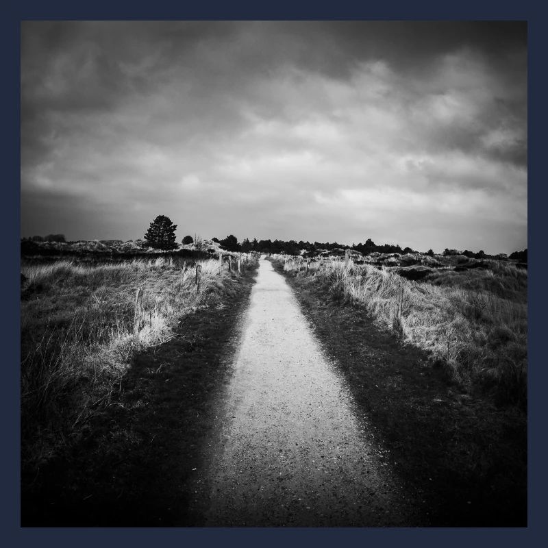 Path Path St. Peter Ording Dunes North Sea Poster