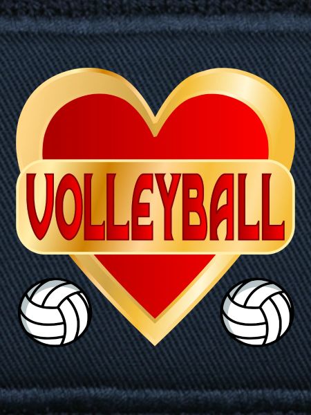 HERZ HOBBY VOLLEYBALL