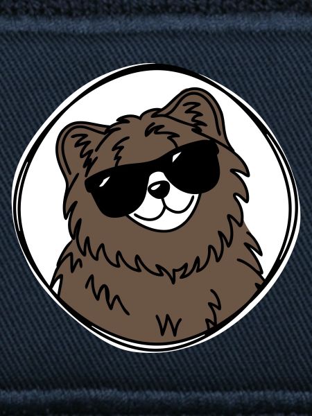 Cool Bear