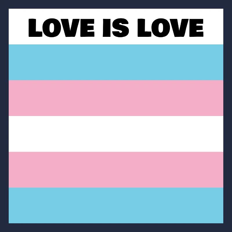 Drapeau LOVE IS LOVE TRANS