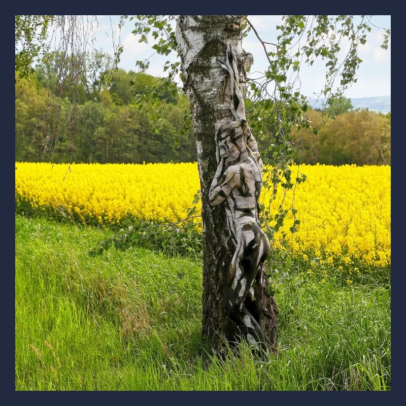NatureArt Rapeseed Birches