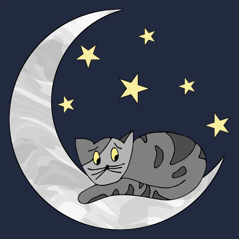 Katze