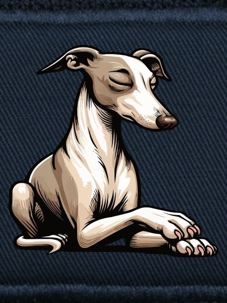 Whippet Windhund Whippets Windhundbesitzer