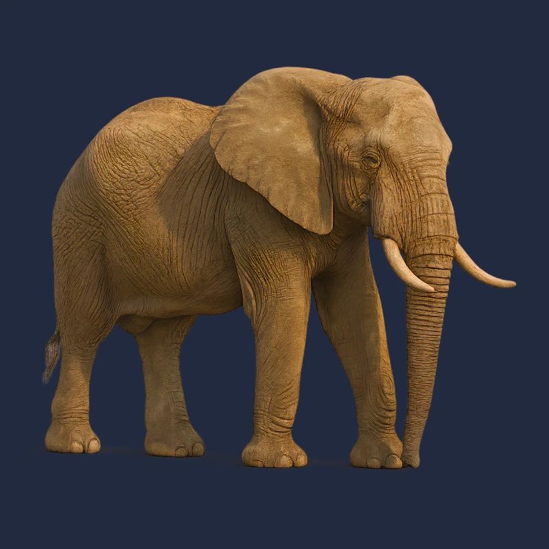 Éléphant dans des tons naturels