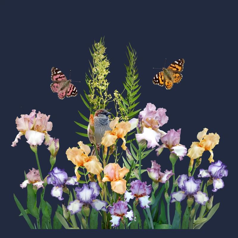 Im Garten der Schmetterlinge 