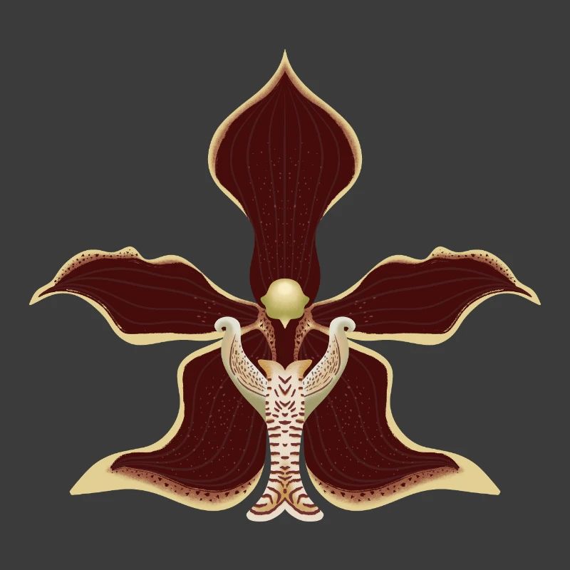 Orchideenblüte