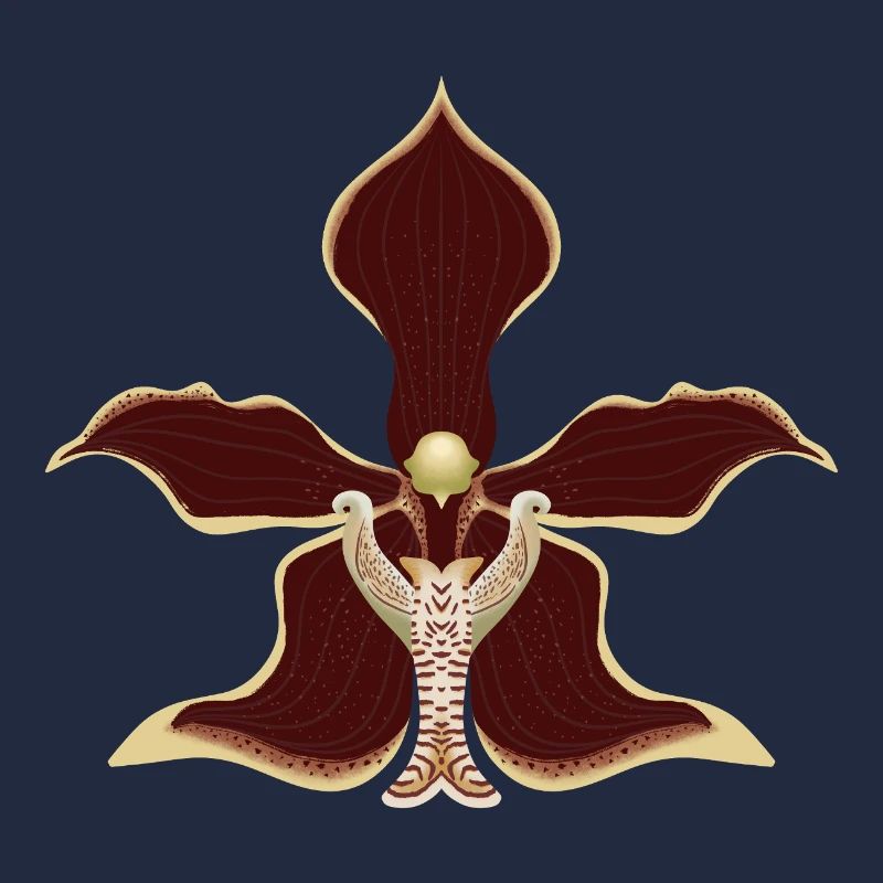 fleur d’orchidée