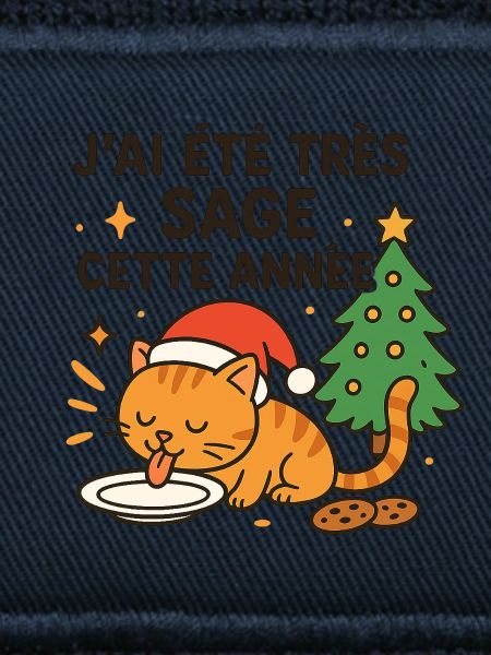 Weise und Gourmet-Weihnachtskatze