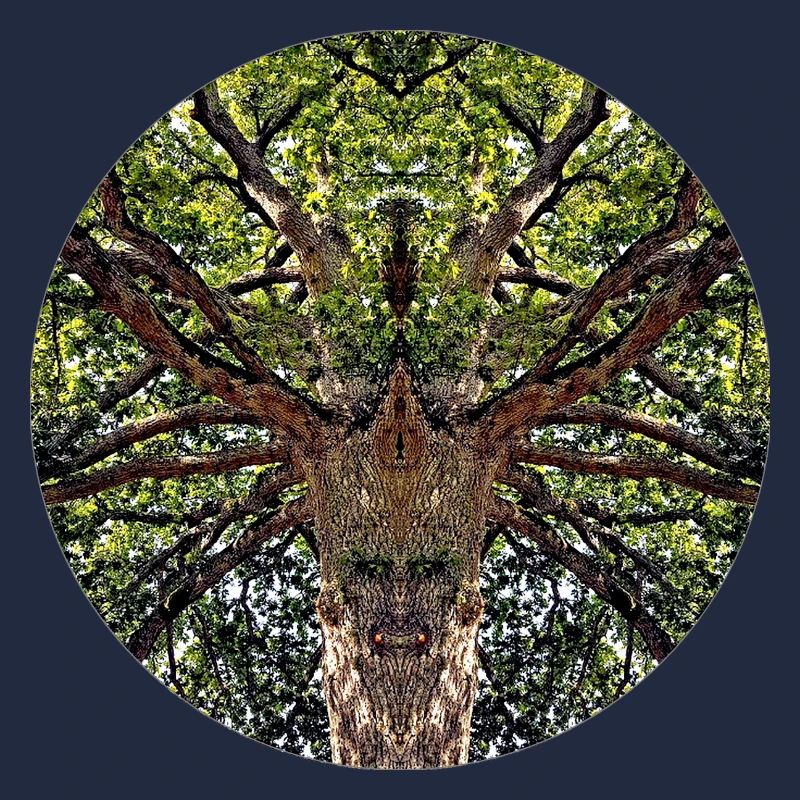 Naturwesen in Baumkrone
