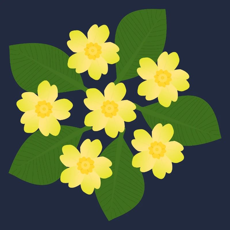 Février, Fleurs de naissance, primevères d’anniversaire, fleur d’anniversaire