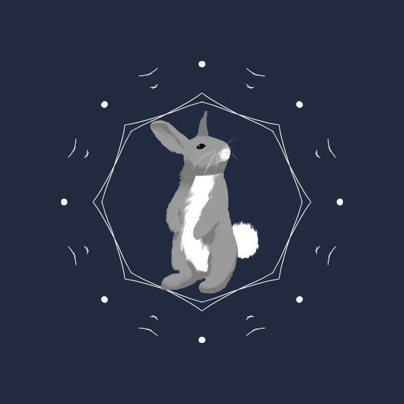 Lapin dans l’anneau de géométrie