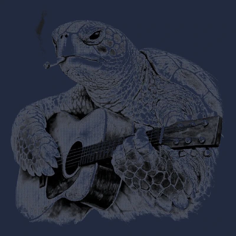 Turtle Blues Gitarrist