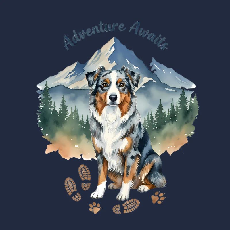 Australian Shepherd Berge Abenteuer