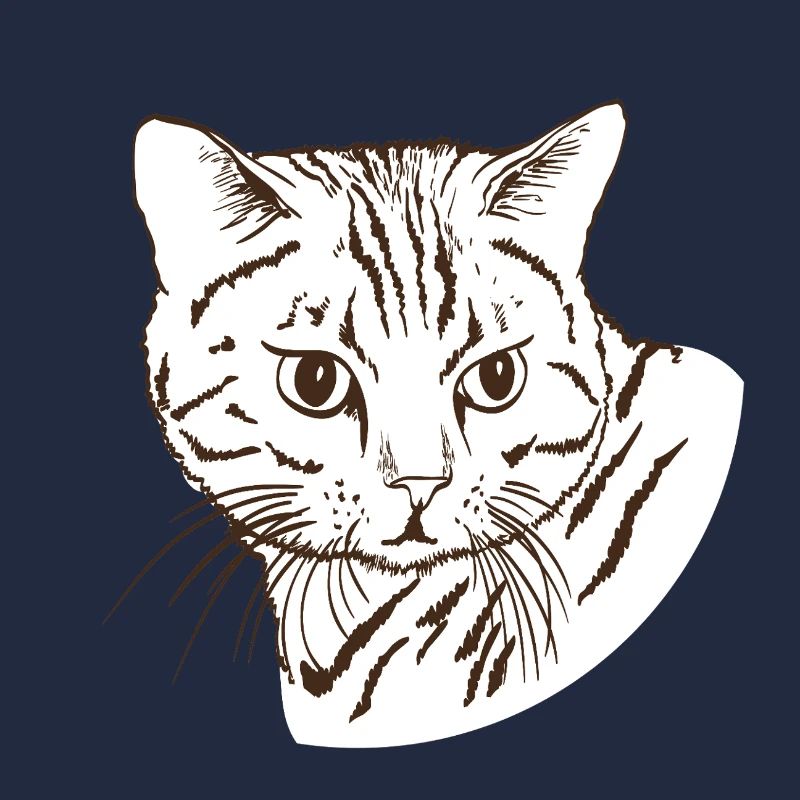 Katze