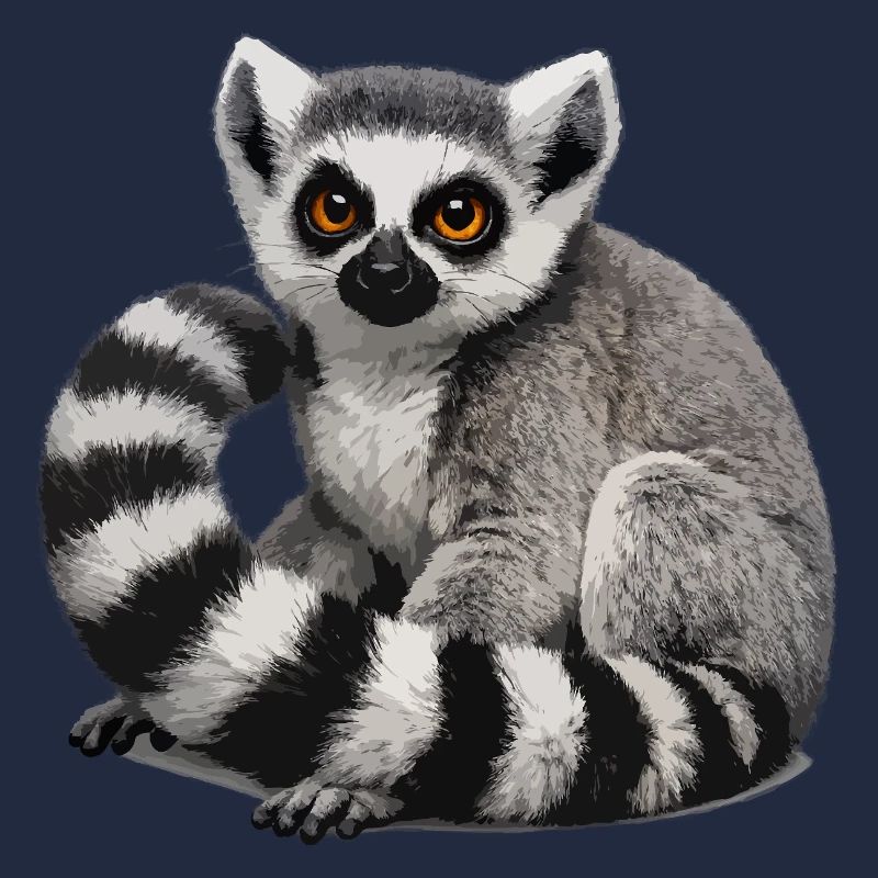 Illustration du lémurien à queue annelée