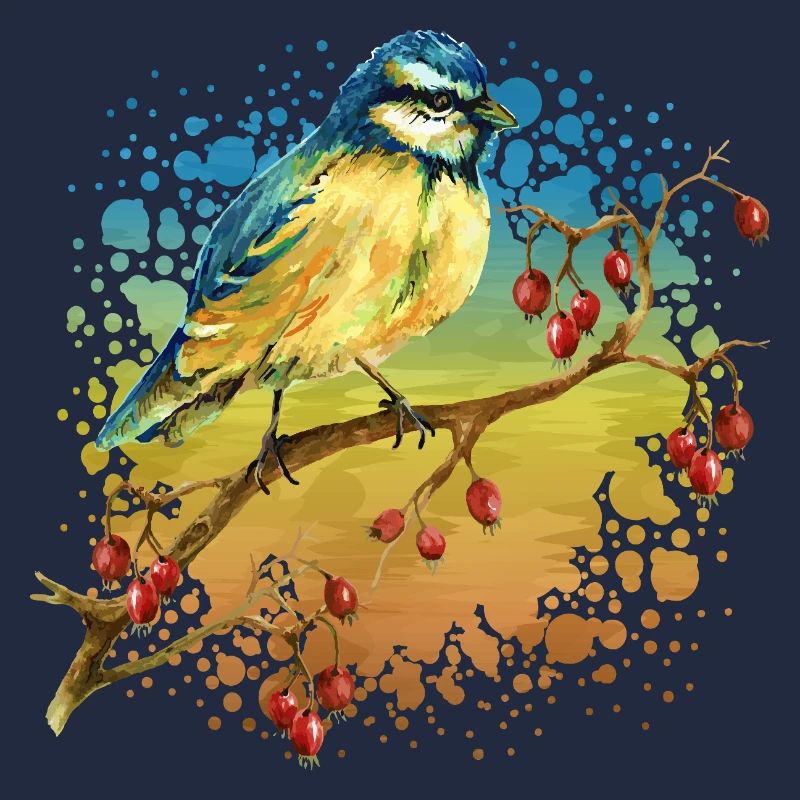 Oiseau coloré