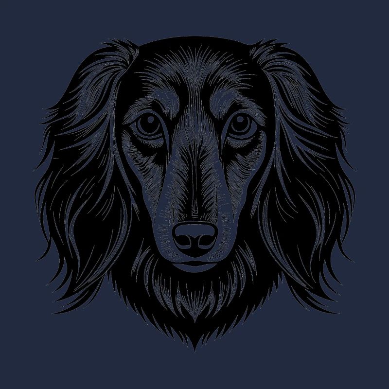 Dachshund long haired