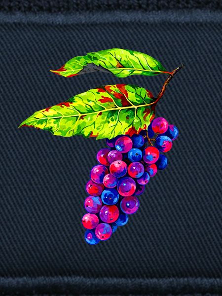 Bunte Weintrauben Illustration
