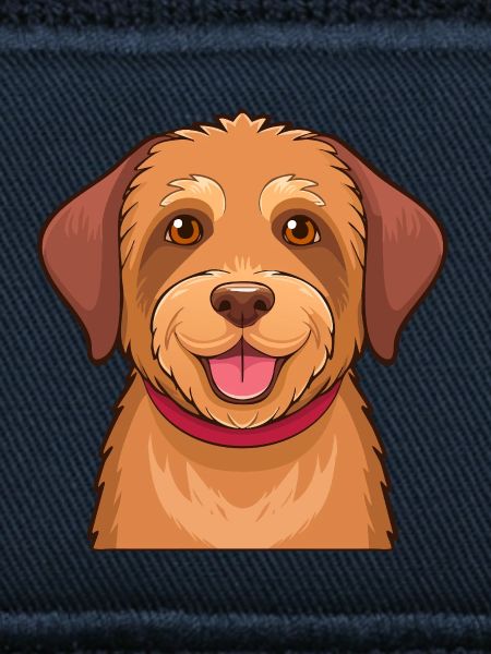  Hellbrauner Zottelhund