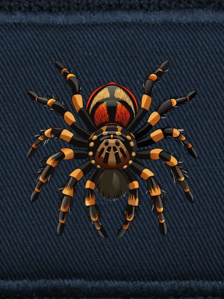 Vogelspinne