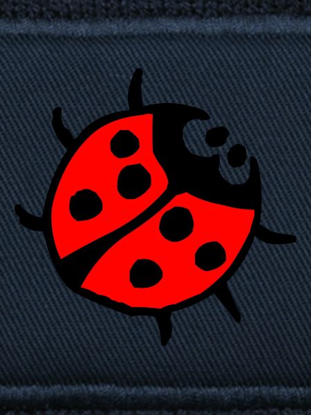 Vibrant Ladybug Spot Pattern