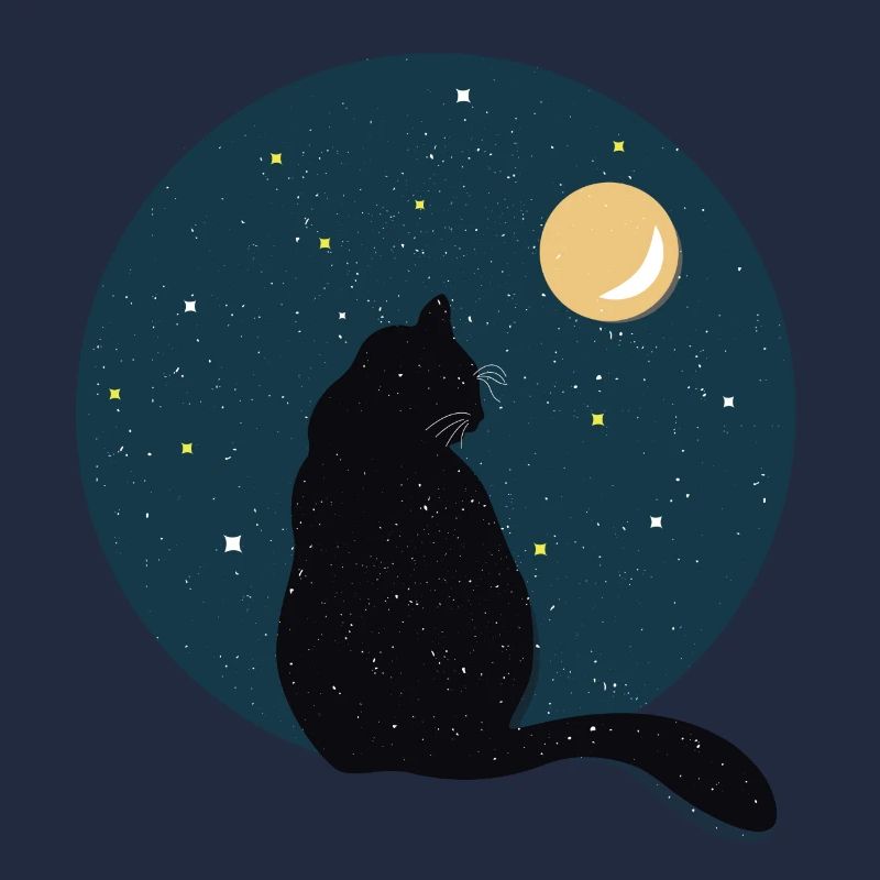 Chat noir devant la lune.