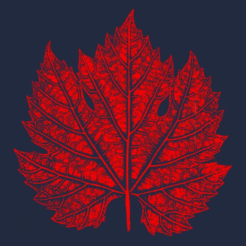 Grape Leaf / Red / Wine Leaf