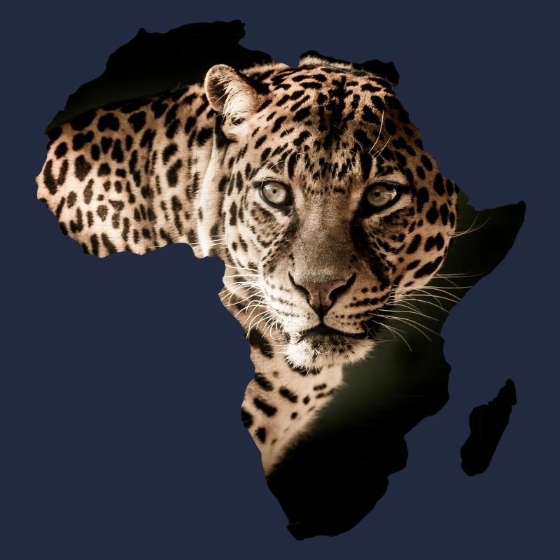 Afrika Leopard