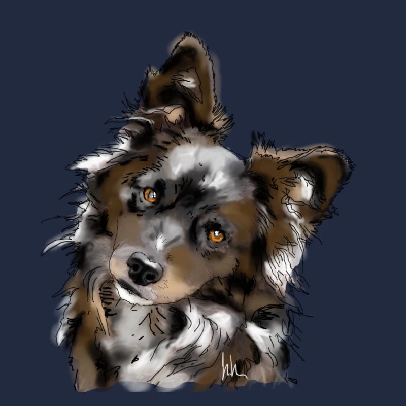 Australian Shepherd