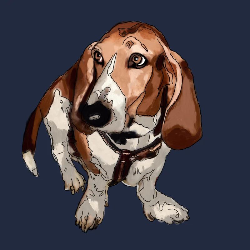 Basset