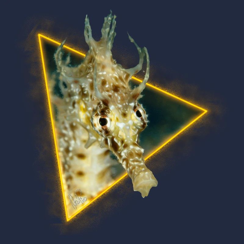 Hippocampe dans un triangle