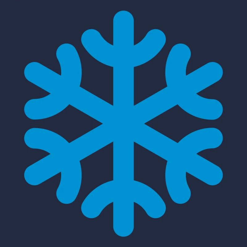 Flocon de neige / flocon de neige