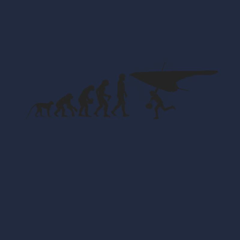 Evolution de planeur