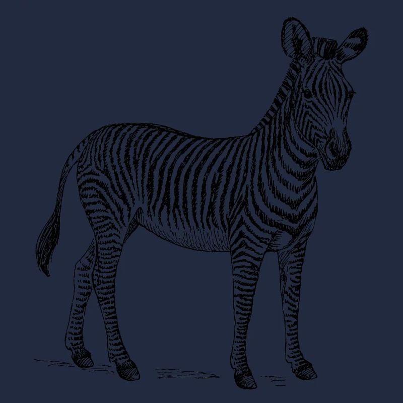 Zebra black