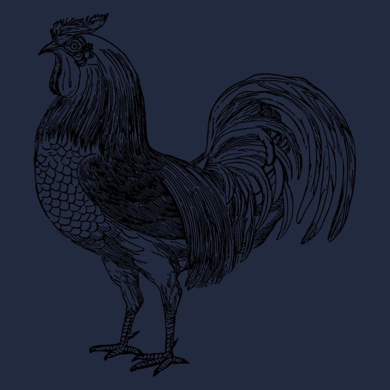 Hahn
