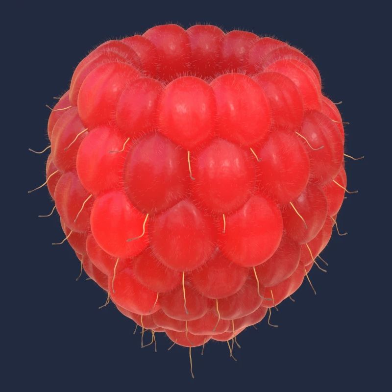 Raspberry Cluster Pattern