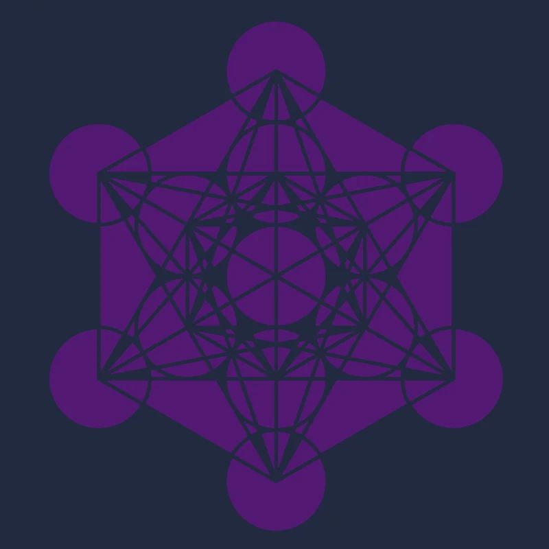 Metatrons Cube - Vector - Platonic Solids /