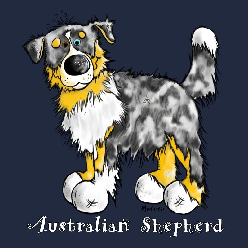 Australian Shepherd – Aussie – Hütehund