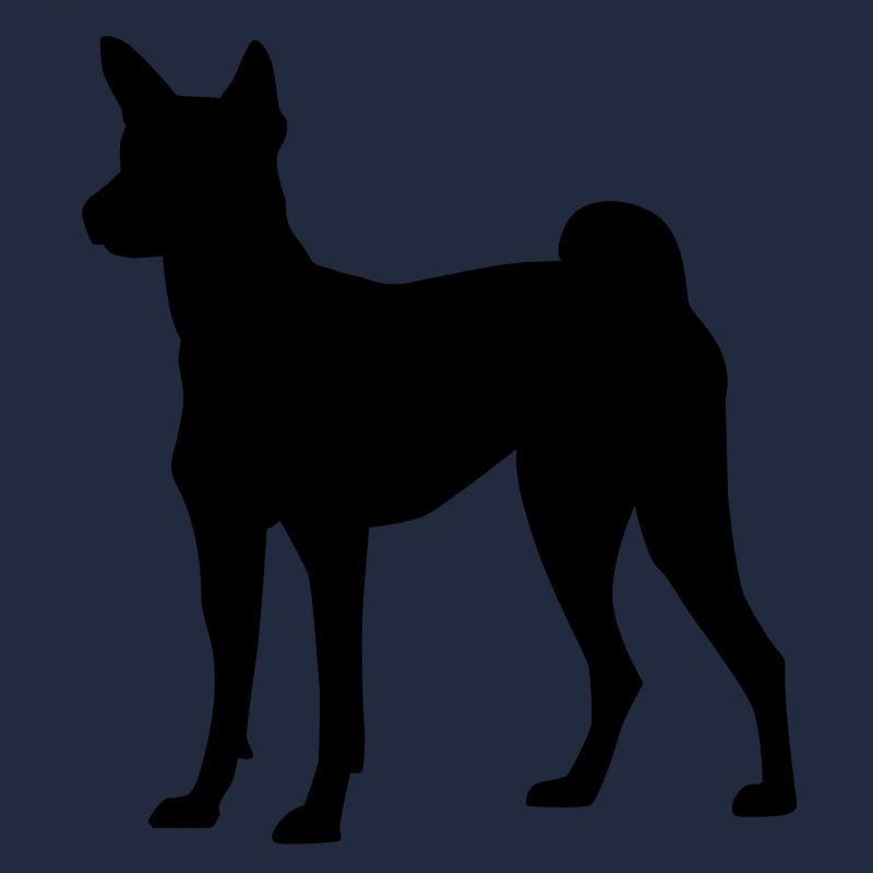 Basenji dog