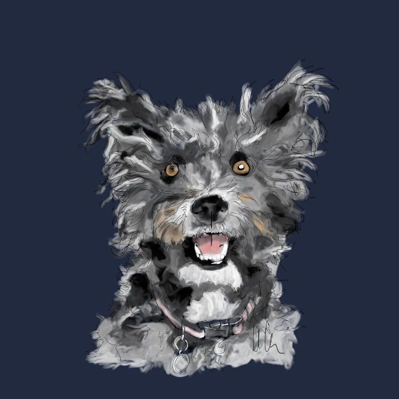 Pumi