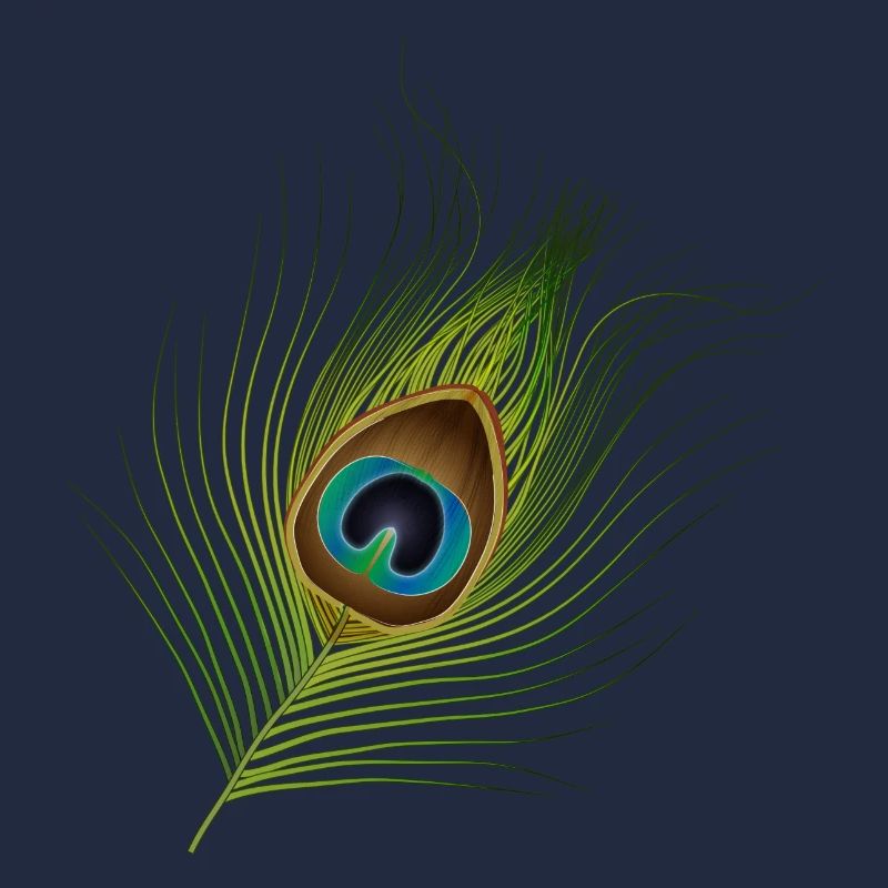 hand-drawn peacock feather