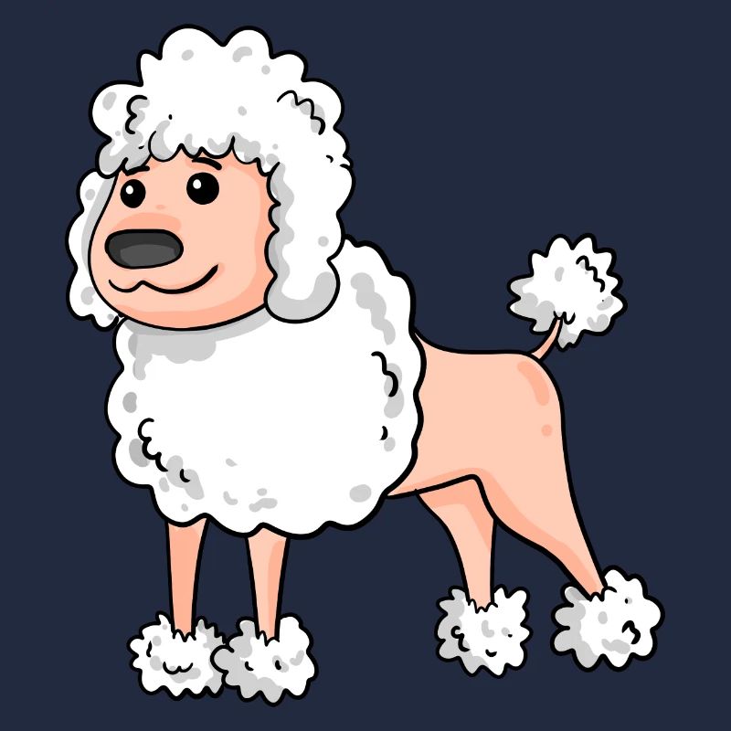 Caniche Race de chien blanc