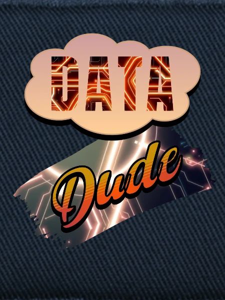 Data Dude